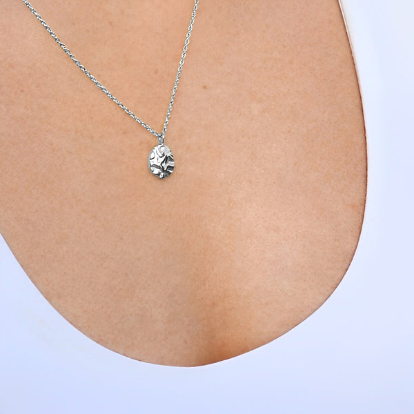 Ever Harmony Silver Necklace