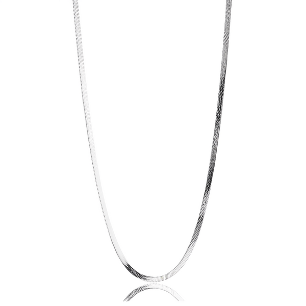 Ever Sidewalk Silver Necklace